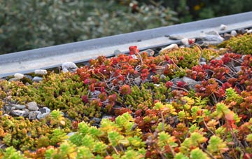 the cost of Shireoaks green roof installation