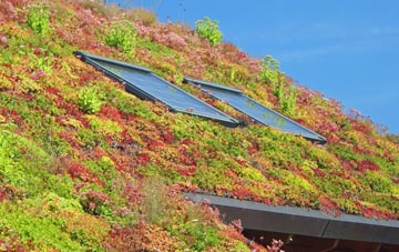Shireoaks living roof systems