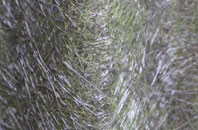 Shireoaks fibreglass roof work